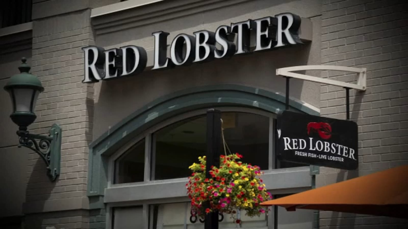 Red Lobster files for bankruptcy | What's next for the largest seafood restaurant chain in the world