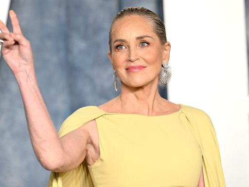 Sharon Stone revela que perdió $18 millones de dólares tras sufrir un derrame cerebral - El Diario NY