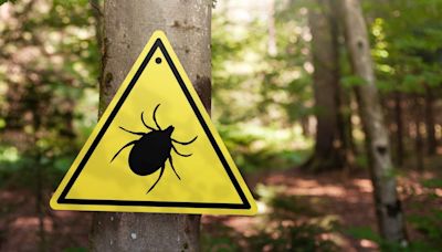 Where are the most cases of Lyme disease in NY? See rates in your county