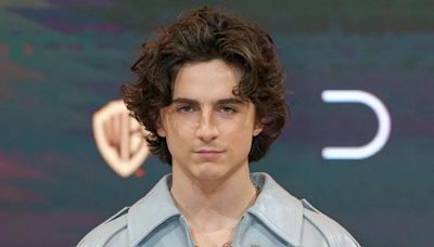 Timothée Chalamet's new movie revealed - and it's all about ping pong