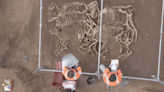 Ancient remains of 28 horses were found buried in France. How did they die?