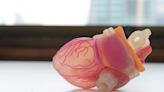 Practice makes perfect: The case for 3D-printed surgical models in training and perioperative settings