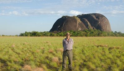 Colossal rock engravings may be ancient borders, study suggests