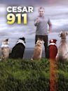 Cesar 911