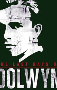 The Last Days of Dolwyn