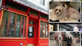 NYC dog lovers warn French bookstore’s new neighbors after owner’s dogs attacked other pooches — one fatally