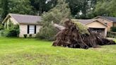 NWS: Wet ground, weakened infrastructure caused storm severe damage