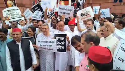 Opposition MPs' "Symbolic Walkout" Of Rajya Sabha Amid Row Over Budget