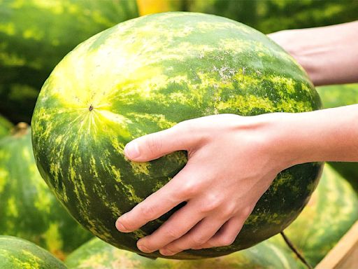 The One Thing You Need To Remember Before Buying Fresh Watermelon