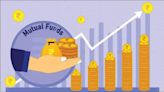 Focused funds see outflows in 7 months of 2024 so far, but fund managers remain optimistic