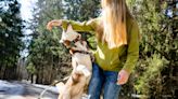 Here’s why a dog might bite, and what to watch out for to prevent it
