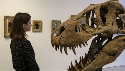 Il T. Rex non era poi così intelligente