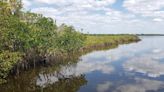 Waterfront property becomes the first to be conserved with Manatee County referendum funds