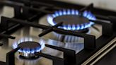 Manuel Adorni: “Estamos haciendo todos los esfuerzos para que no falte gas en invierno”