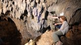 La reina Sofía vuelve a los yacimientos de Atapuerca para celebrar un importante aniversario