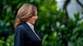 Why has a Kamala Harris coconut tree meme gone viral?