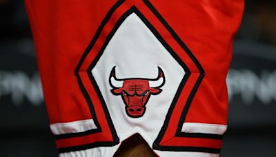 Chicago Bulls Reportedly Sign New Player