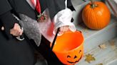 Terror-ific Halloween happenings
