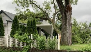 ‘I am so blessed;’ Man shocked after tree smashes into house amid tornado-warned storms