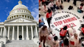 Protestors Storm US Capitol Building Ahead Of Netanyahu Speech | WATCH