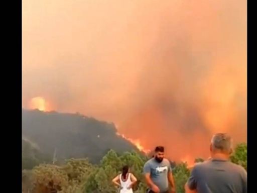 Declaran estado de emergencia en ciudad rusa de Novorossíisk por extenso incendio forestal | El Universal