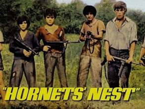 Hornets' Nest