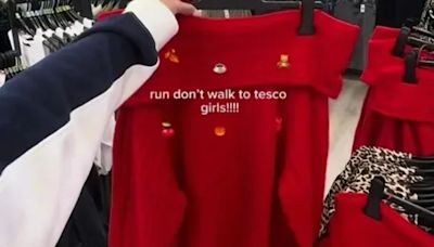 Shoppers go wild for new 'beautiful' Tesco jumper - & it's perfect for Christmas