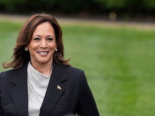 Kamala Harris leads Donald Trump 44% to 42% in US presidential race, new poll finds