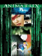 The Animatrix