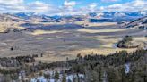 Can you spot the elk in Yellowstone guide’s striking image?