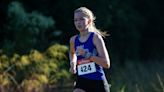 State Cross Country: CSN's Audrey wins gold, Verot's De Lisle, Naples boys state runners-up