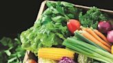 Inflation edges higher in June due to soaring vegetable prices: Survey