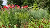 'Foodscaping' slips vegetables in among the flowers for visual appeal in the garden