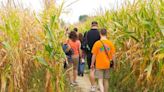 Things are starting to get scary at Young’s Jersey Dairy; Haunted Wagon Ride designed for families