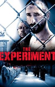 The Experiment (2010 film)