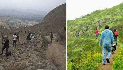 El desierto que se convierte en un paraíso verde cada invierno: se ubica en un distrito de Lima Metropolitana