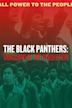 The Black Panthers: Vanguard of the Revolution