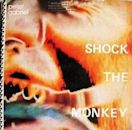 Shock the Monkey