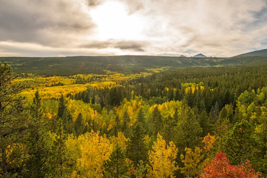 Off the Beaten Trail: Fall colors are starting along Colorado’s oldest scenic byway