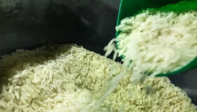 Governo autoriza compra de 1 milhão de toneladas de arroz | Economia | O Dia