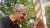 Andy Cohen Shares the Best Update on Wacha (PICS)