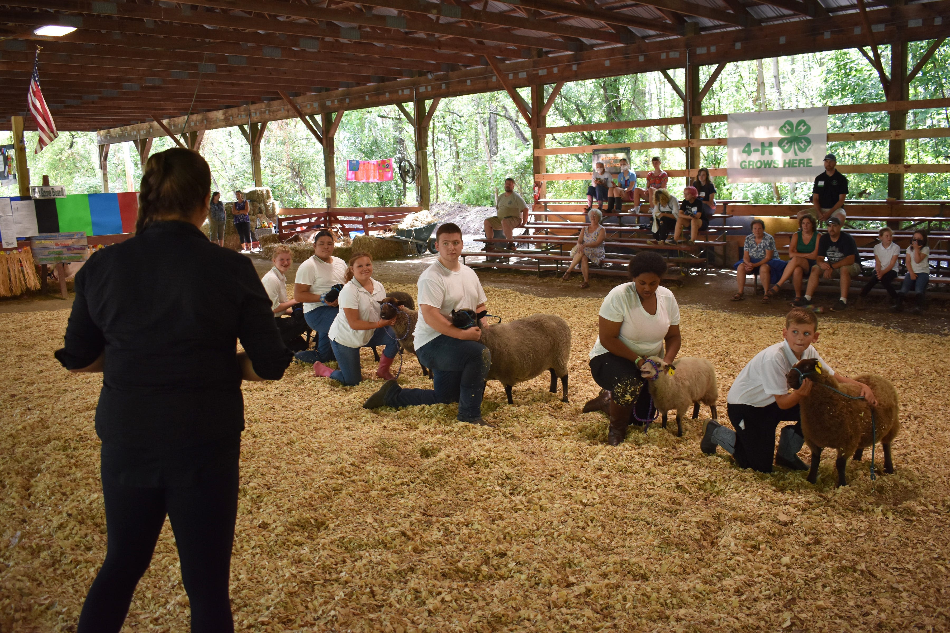 Tickets to this sheep-show are free: See Tompkins County 4-H's hard work in action