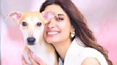 Diana Penty Joins Hands With PETA India Again To Find Adrak A Happy Home