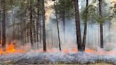 Fighting fire with fire: Prescribed burns help Arizona firefighters manage blaze