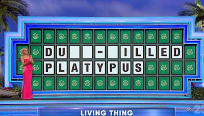 Wheel of Fortune player loses $8k over ‘painful’ miss on 'clear-cut' puzzle