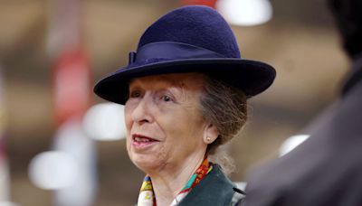 Princess Anne Says She 'Can't Remember a Single Thing' About Horse Incident