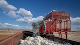 Better Cotton conference in Istanbul to focus on field-level impact