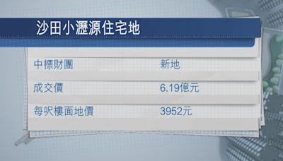 沙田小瀝源住宅地6.19億元批出 每呎3952元