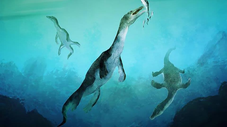 Ancient reptile fossil shines new light on early marine evolution
