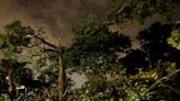 Atlanta tornado was at night, video shows daytime twisters | Fact check